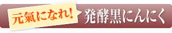 元氣になれ！発酵黒にんにく