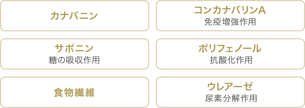 カナバニン、コンカナバリンA、サポニン、ポリフェノール、食物繊維、ウレアーゼ
